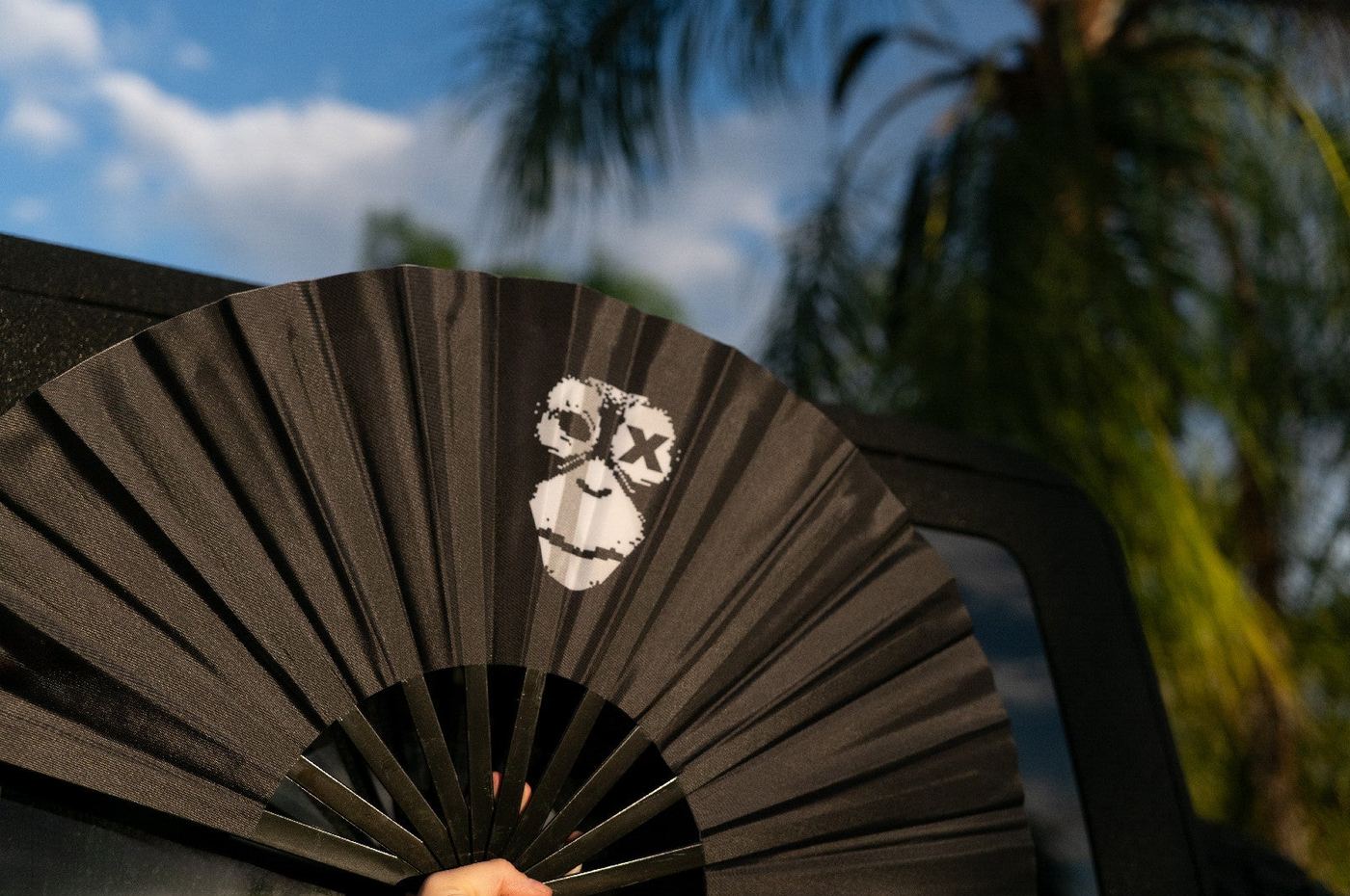 Ohrangutang x Ruin Rally Xing Xing fan